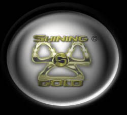 Shining Gold Award