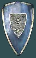 Shield of Blue Company