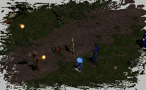 CLICK FOR LARGER IMAGE