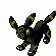 Umbreon