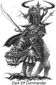Dark Elf Commander
