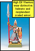 A High Elf Warrior