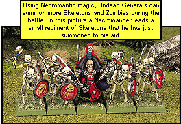 Skeletons with Necromancer (Very Scary!)