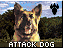 Attack Dog