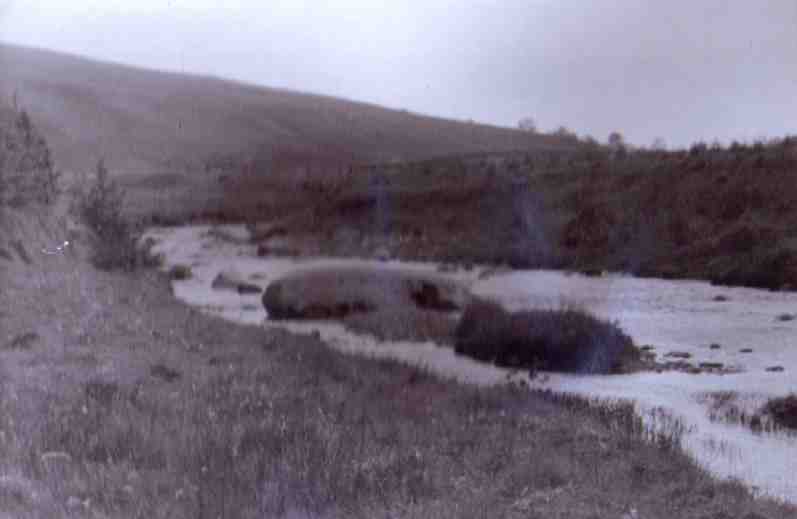 Big Dowie in the river Wauchope