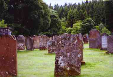 Old and weathered headstones in Wauchope cemetery