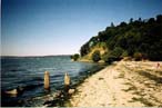 golden gardens beach