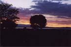 golden gardens sunset