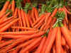 carrots.jpg (156100 bytes)