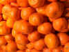 oranges.jpg (69198 bytes)