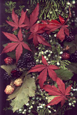 Stonehart Berries