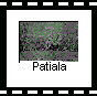  Patiala Button 4