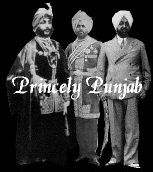  Princely Punjab  Logo