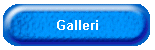 Galleri