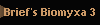 Brief's Biomyxa 3