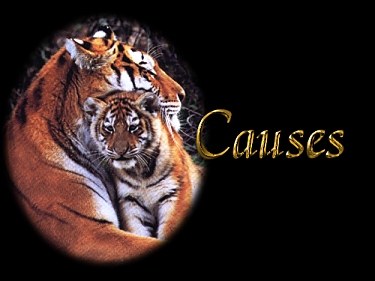 Causes