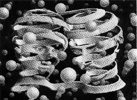 Escher image