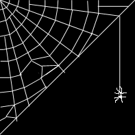 web