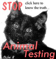 Stop Animal Testing!