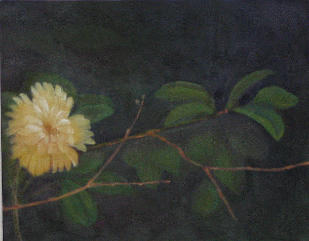 chrysanthemumish