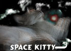 space kitty