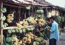 Fruit sellers on the market