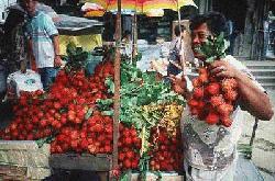 A fruit seller with rambutans