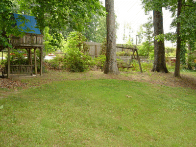 Backyard Playground