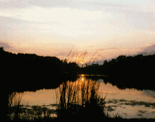 awSunset.gif (39441 bytes)