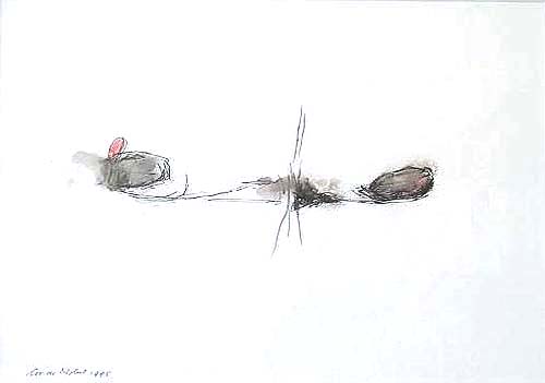 COR DE NOBEL, pencil and color-pencil, 34 x 24 cm. 1995