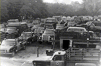 click for larger image