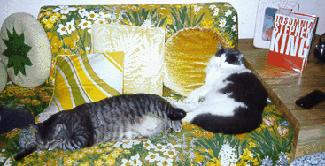 hanaspty.gif (59091 bytes)