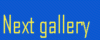 next.gif (2045 bytes)