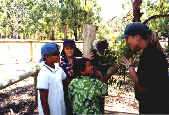 dec1.jpg - 34203 Bytes