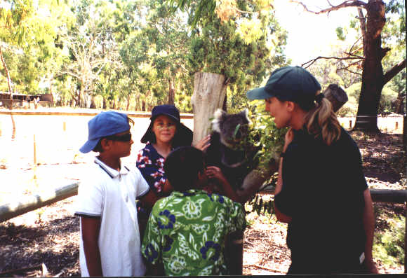 dec1.jpg - 34203 Bytes