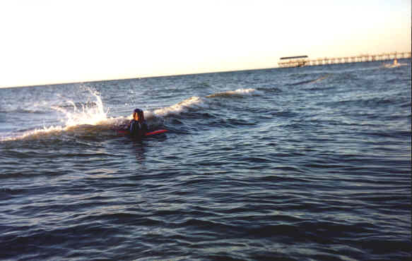 nov3.jpg - 16905 Bytes