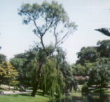 park2a.jpg - 15551 Bytes