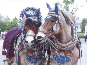 living.jpg - 84333 Bytes