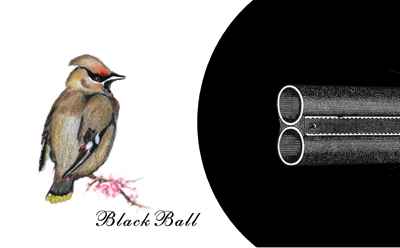 Black Ball a digital iris print 