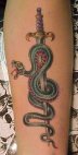 newest snake tat