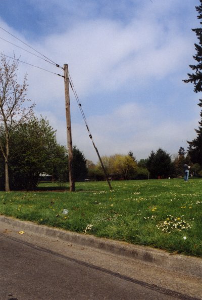 Photo from south edge of the park pointing north-west.