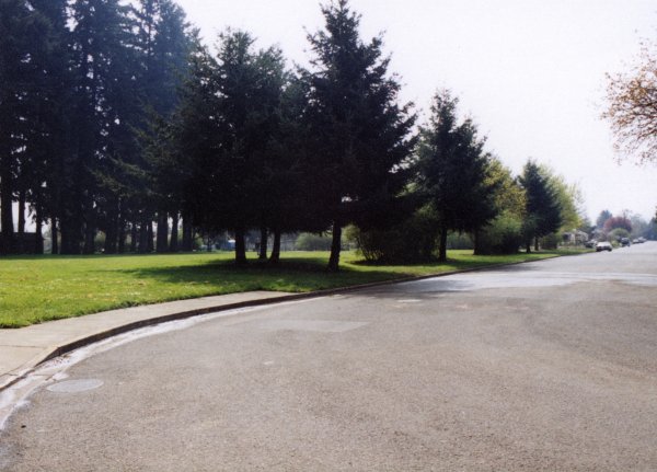 Photo from north-west corner facing the west edge of the park.