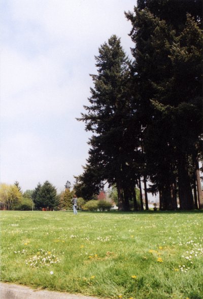 Another photo facing north from south. Elizabeth is the oblivious scale figure.