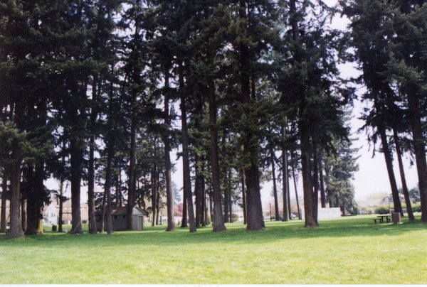 Photo standing on the site facing east toward the playground and other recreational facilities.