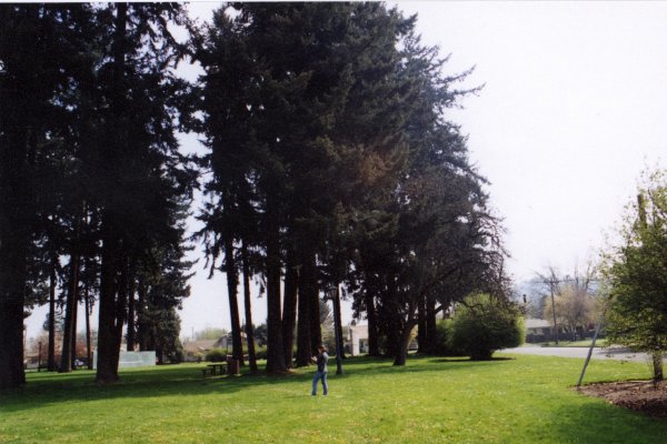 Photo standing on the site facing east with Elizabeth as the scale figure again.
