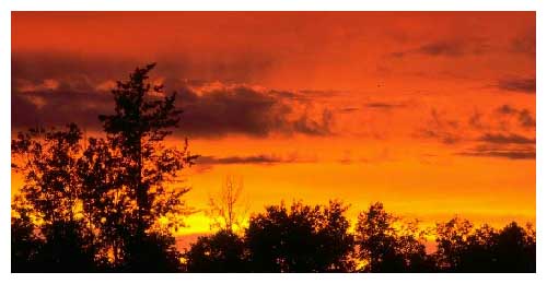 402000h.jpg (20079 bytes)