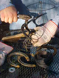 T06.jpg (11483 bytes)