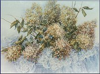 hydrangea&lace.jpg 