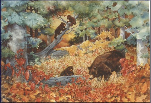 jpic32.jpg (60035 bytes)