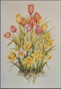 jpic37.jpg (19820 bytes)